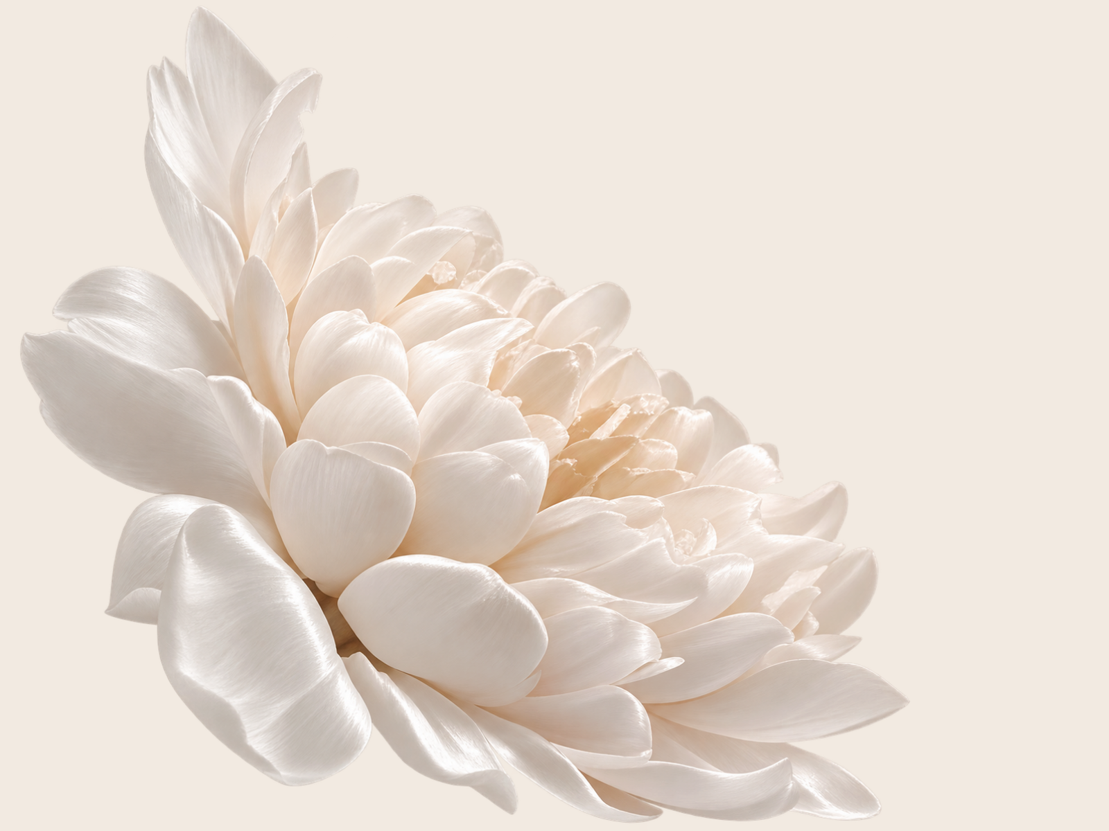 Flor decorativa